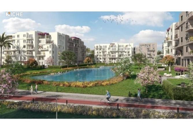 8509124 - Property Image 3