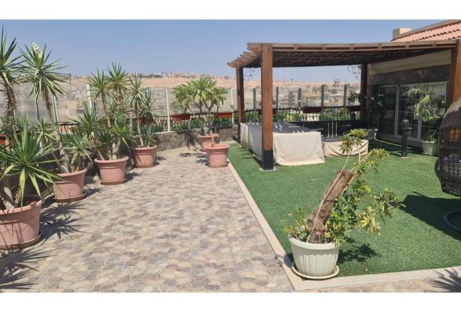 8037624 - Property Image 3