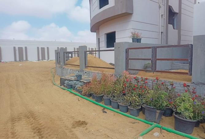 8038483 - صورة العقار 3