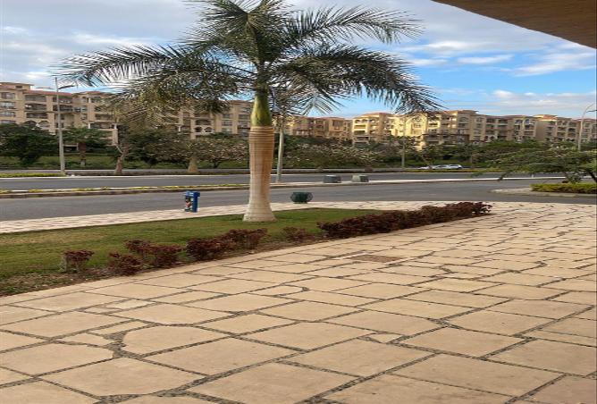 8178059 - صورة العقار 2