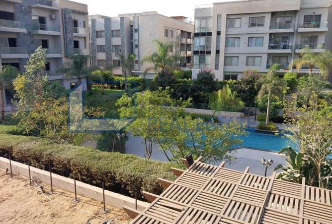 8040818 - Property Image 3