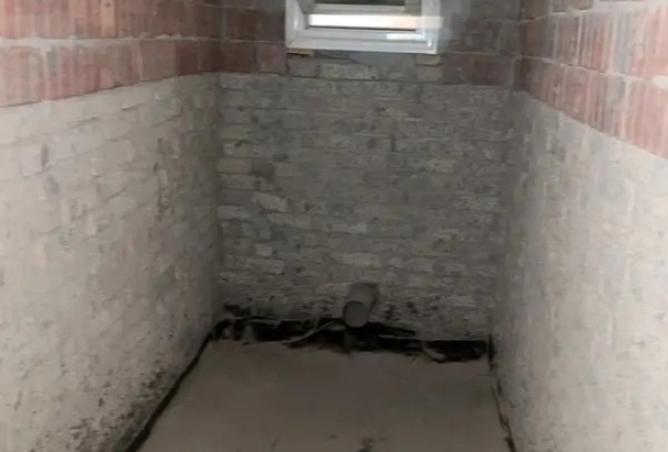 8040553 - صورة العقار 2