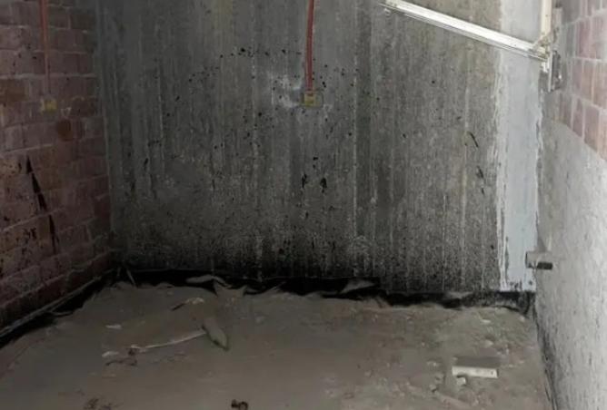 8040553 - صورة العقار 3