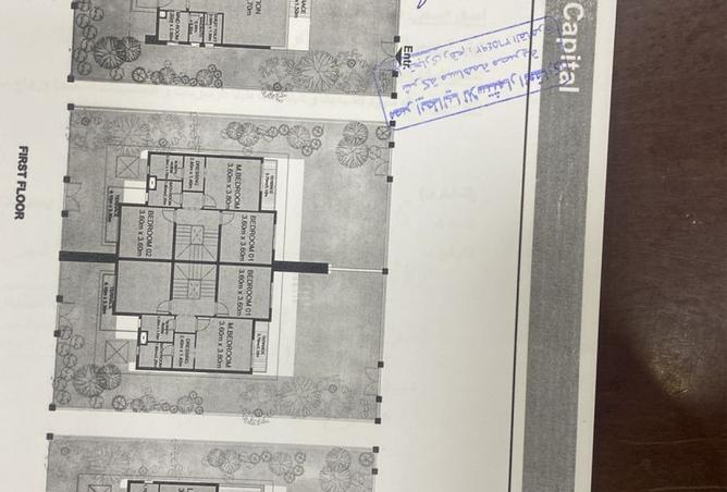 8041396 - Property Image 3