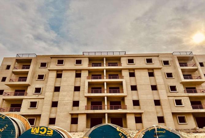 8041633 - Property Image 3