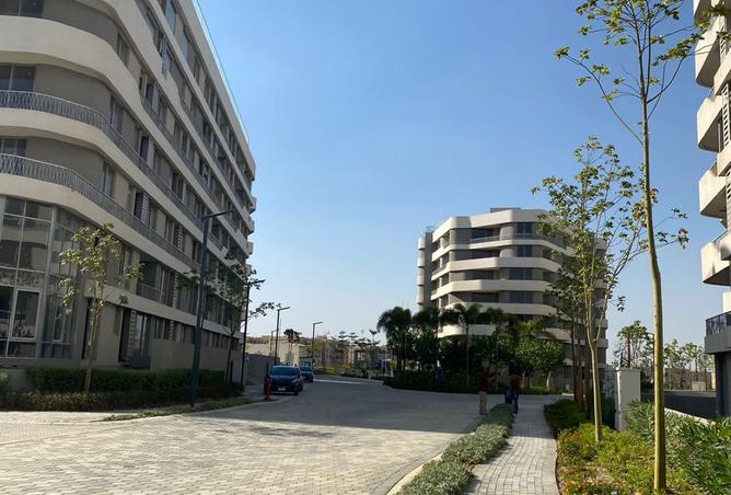 8052688 - الصورة الرئيسية للعقار