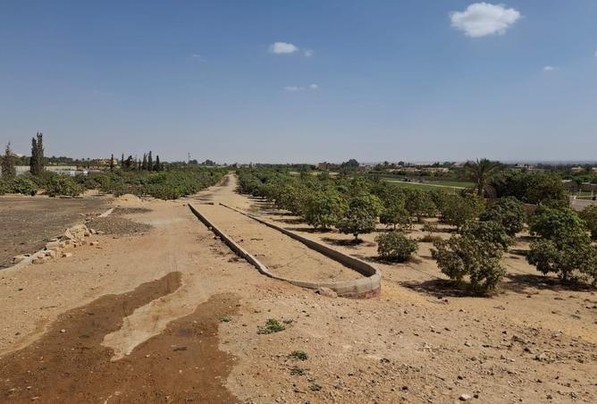 8041420 - صورة العقار 2