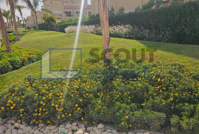 8041671 - Property Image 3