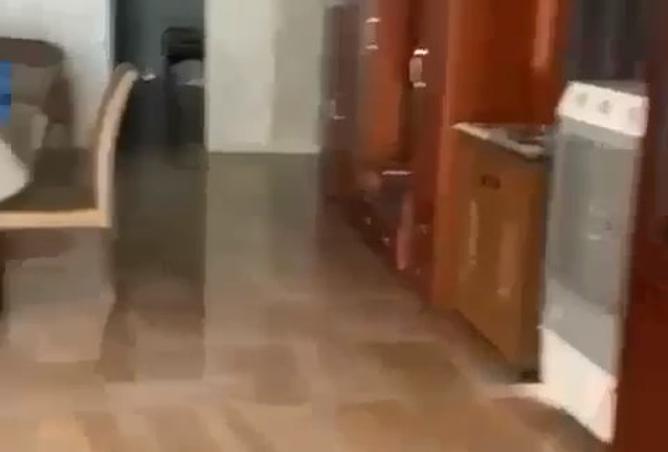 8041596 - Property Image 3