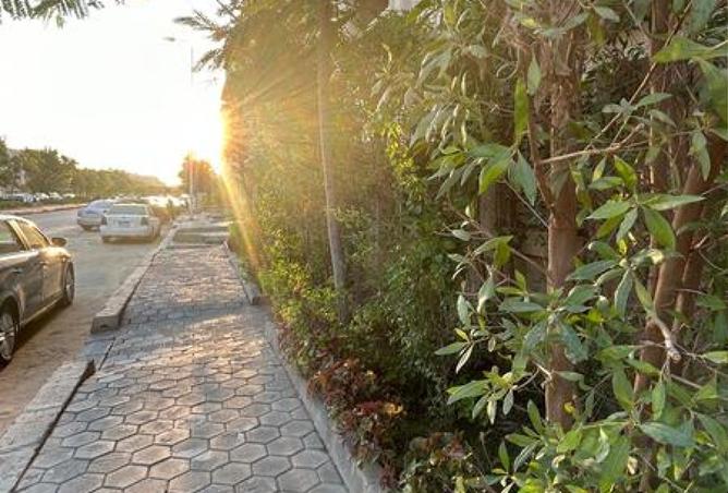 8042137 - صورة العقار 3