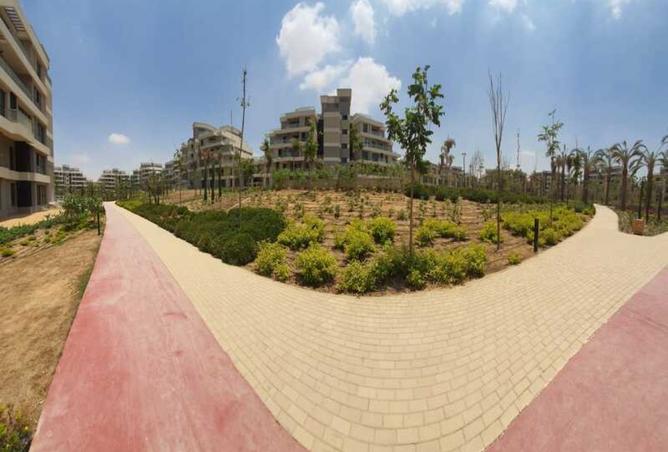 8043128 - Property Image 3