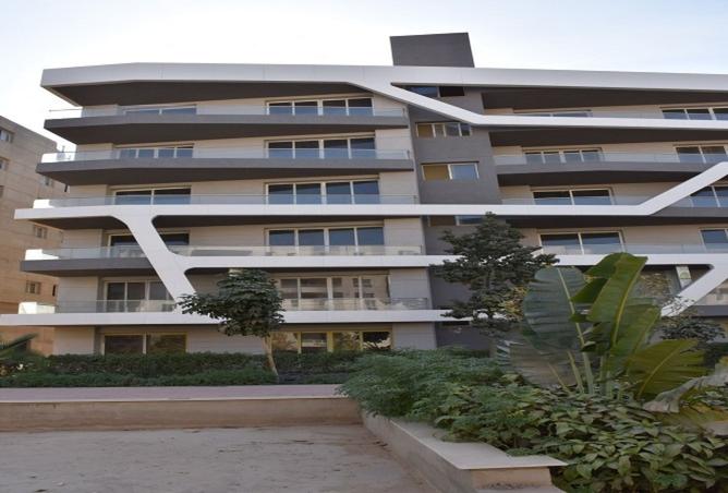 8044564 - Property Image 3