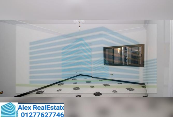 8047682 - Property Image 3