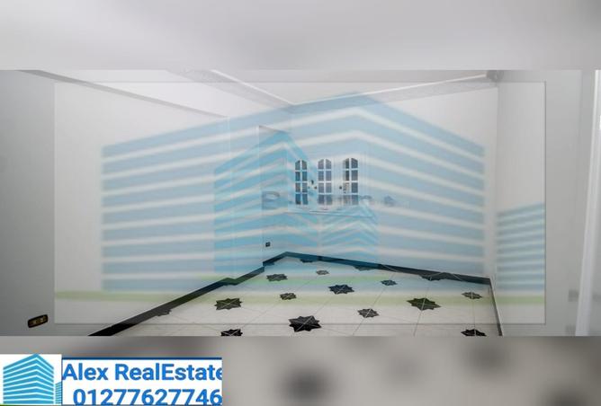 8047682 - Property Image 2