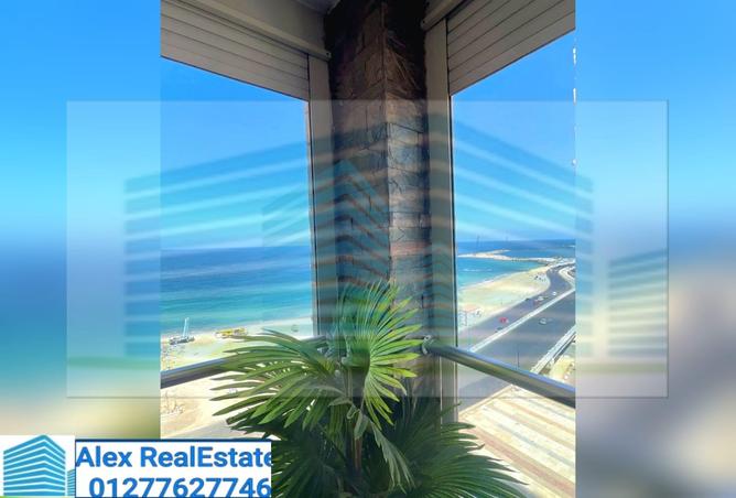 8047686 - Property Image 2