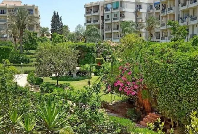 8115363 - الصورة الرئيسية للعقار