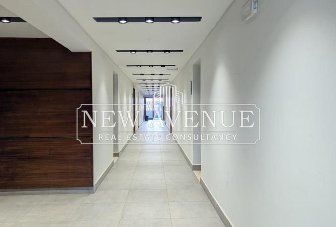 8309276 - Property Image 3