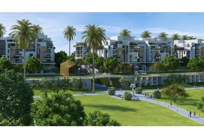 8050116 - صورة العقار 2