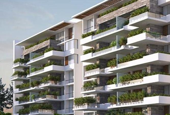 8098295 - Property Image 3