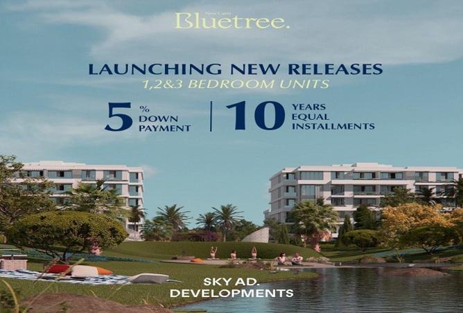 8051246 - الصورة الرئيسية للعقار