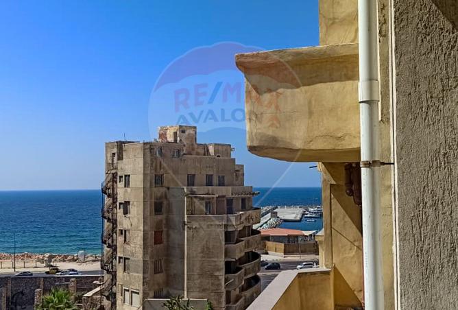 8051048 - Property Image 3