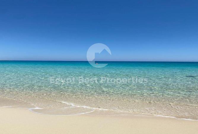 8261782 - صورة العقار 3