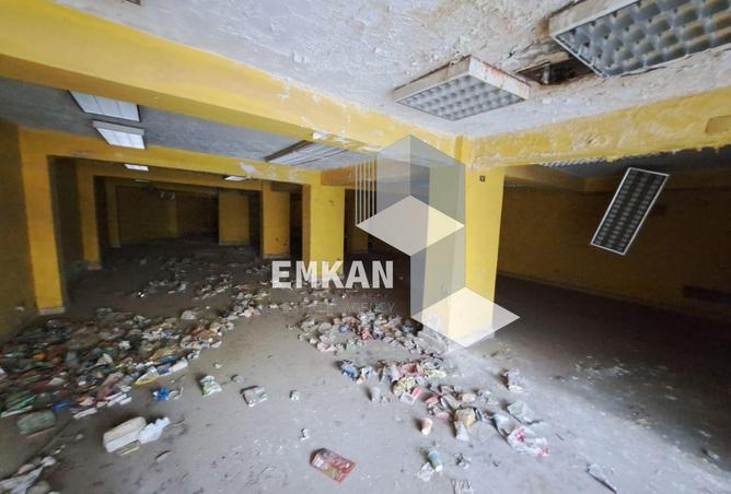 8059528 - صورة العقار 2