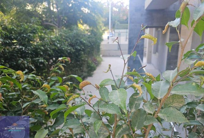 8060622 - الصورة الرئيسية للعقار