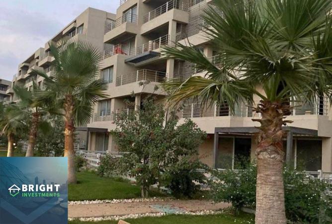 8061340 - صورة العقار 3