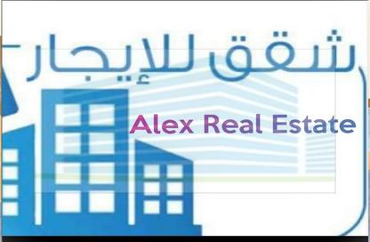 Office Space - 4 Bedrooms - 2 Bathrooms for rent in Roshdy Basha St. - Bolkly - Hay Sharq - Alexandria