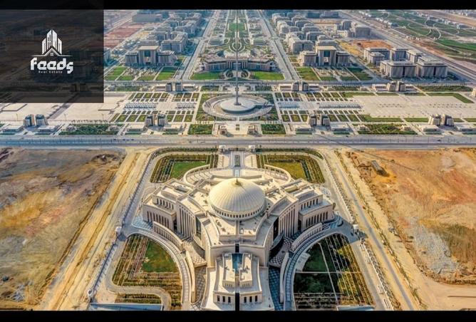 8062530 - Property Image 3