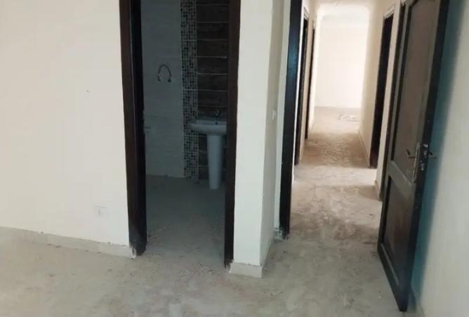 8062830 - صورة العقار 3