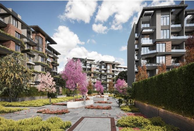 8063967 - Property Image 3