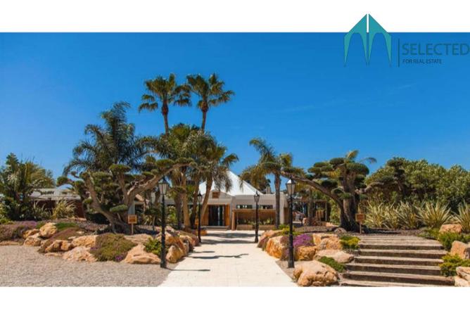 8064997 - صورة العقار 3