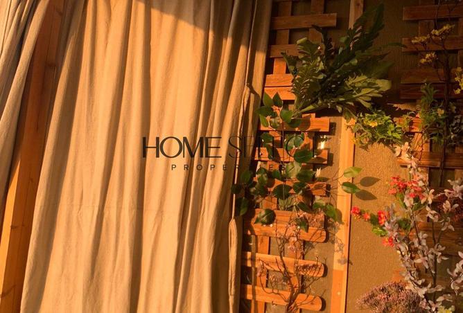 8067889 - صورة العقار 3