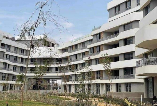 8066205 - صورة العقار 2