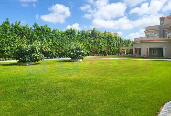 8138169 - صورة العقار 3