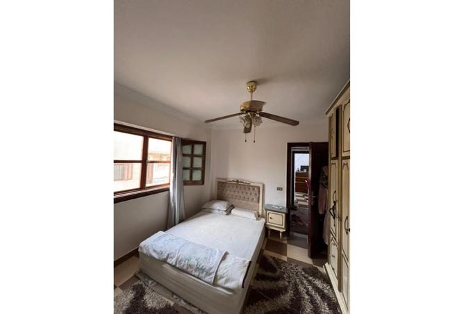 8067434 - Property Image 3