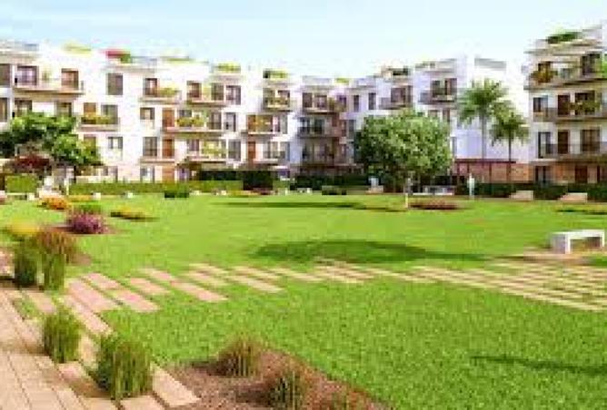 8067565 - Property Image 3