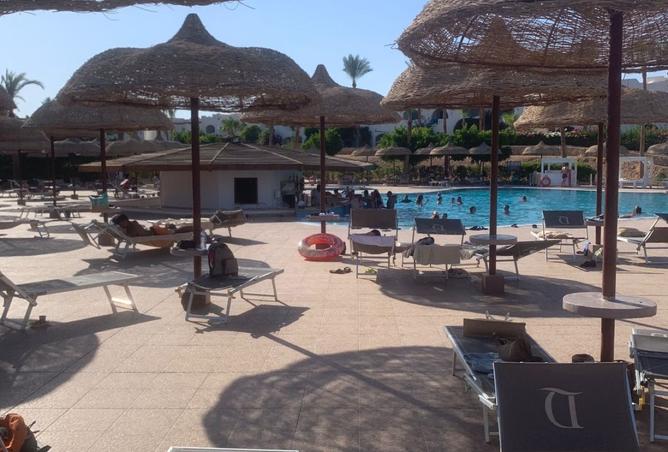 8067908 - صورة العقار 3