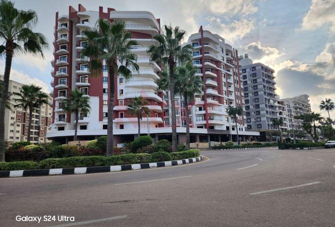 8067951 - صورة العقار 2