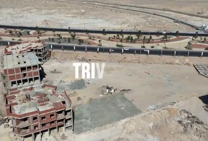 8072432 - Property Image 3