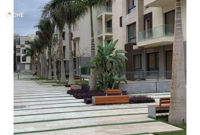 8072761 - Property Image 3