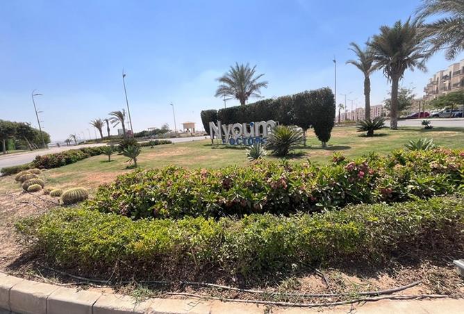 8081357 - Property Image 2