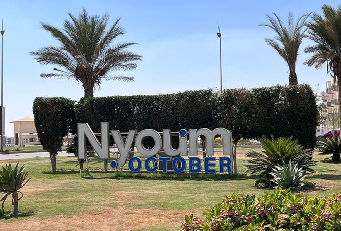 8073948 - الصورة الرئيسية للعقار