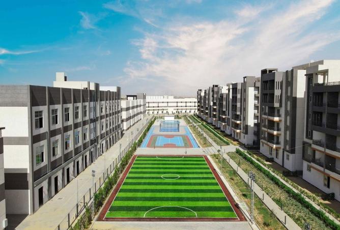 8075754 - صورة العقار 3