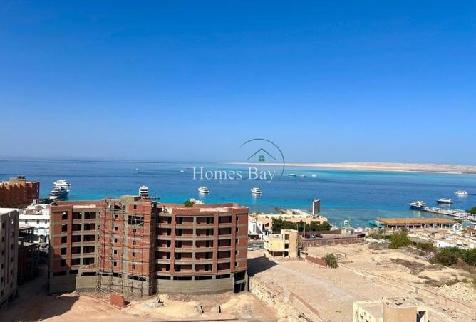 8075866 - Property Image 3