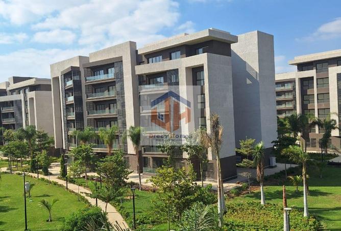 8075988 - صورة العقار 3