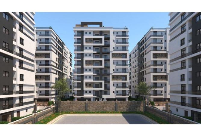 8077939 - Property Image 2