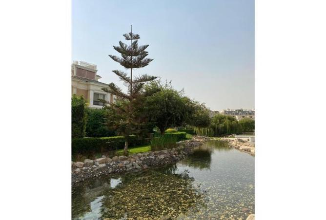 8420668 - صورة العقار 2